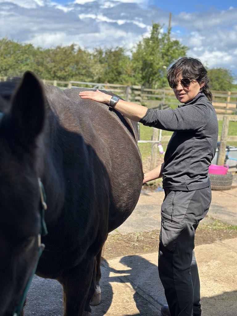 Shiatsu session on EMS points near the hind end